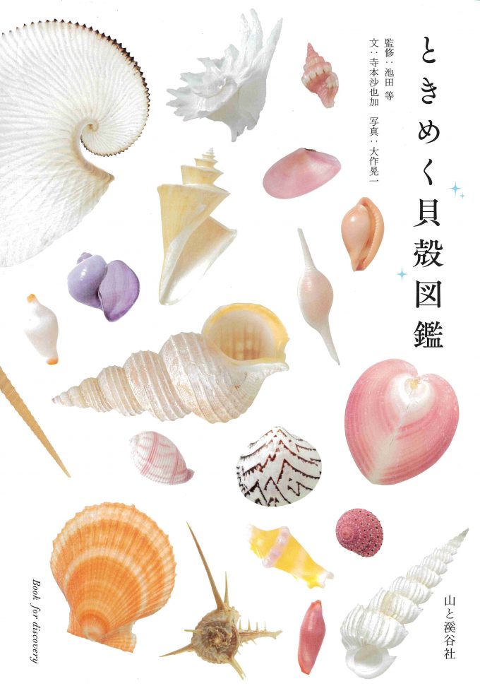 ときめく貝殻図鑑_表紙