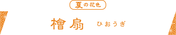 檜扇 ひおうぎ