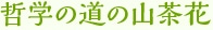 哲学の道の山茶花