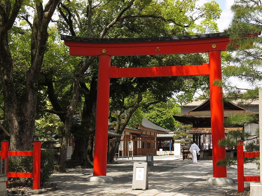 日本文化と密接に関わる大切な色
