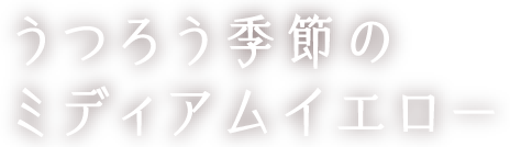 うつろう季節のミディアムイエロー