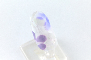 親指・中指の爪に、つまようじで「胡粉」「藤紫白」「水藤」を使い、それぞれ花を描く